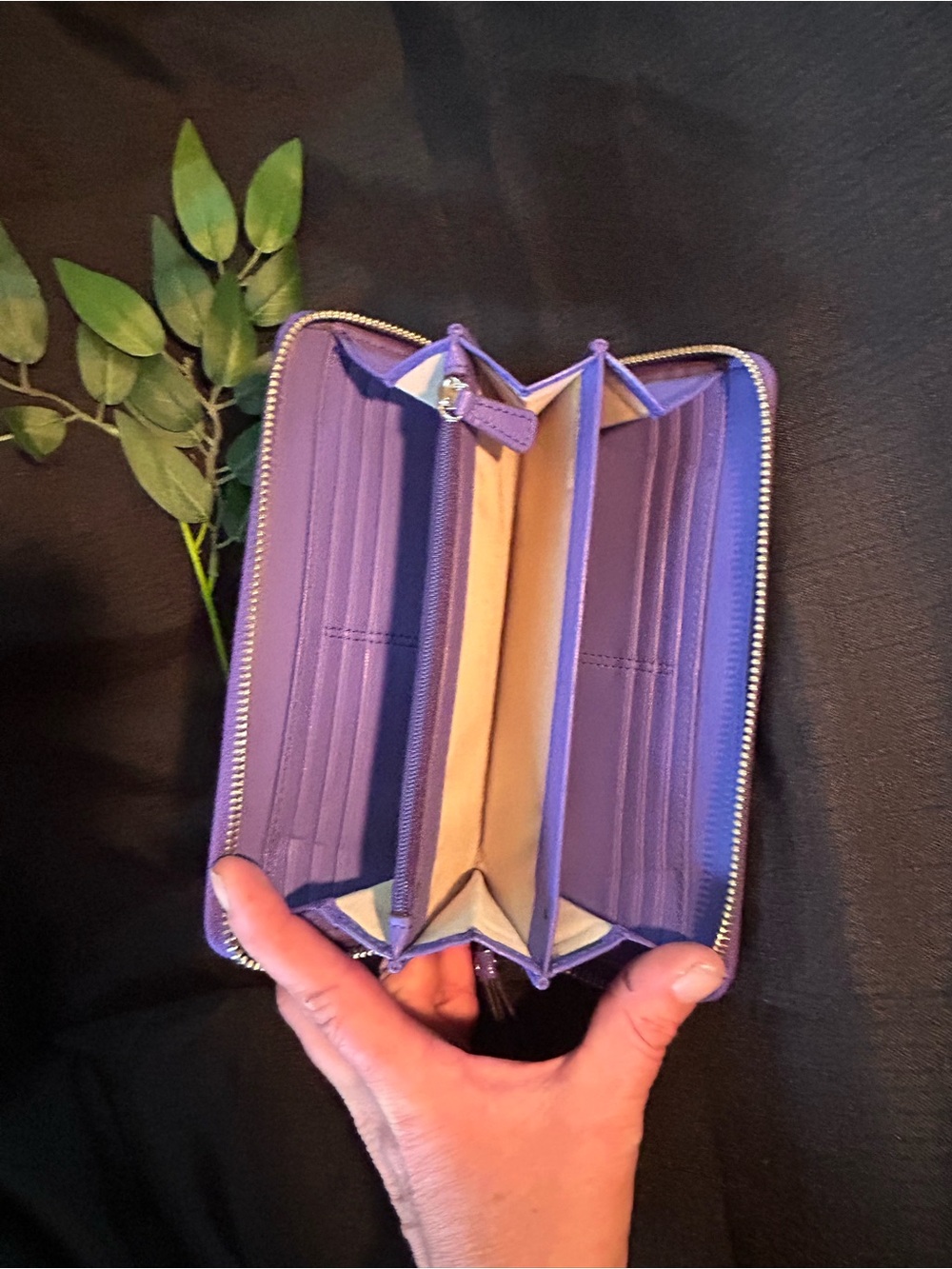 Coach Beige Signature Zip Wallet with Purple Trim - Picture 8 of 15